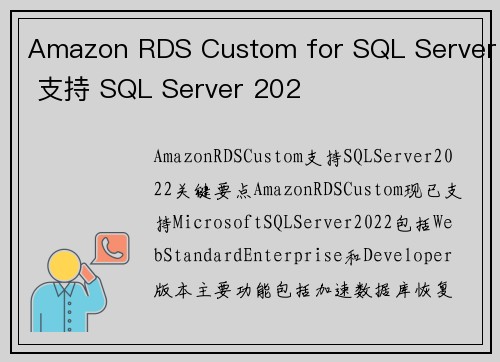 Amazon RDS Custom for SQL Server 支持 SQL Server 202